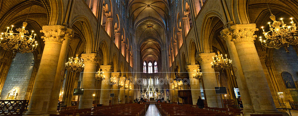 Paris Panorama Inside Notre Dame